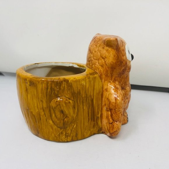 Mini Golden Brown Owl/Owlet Planter - Root Cuttings - Houseplants - Picture 6 of 8